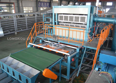 Large Egg Tray Production Line Capacity 50000pcs Per Working Day