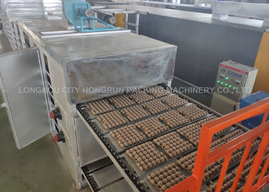 Fully Automatic Egg Tray Machine , Paper Pulp Molding Machinery For Egg Packaging